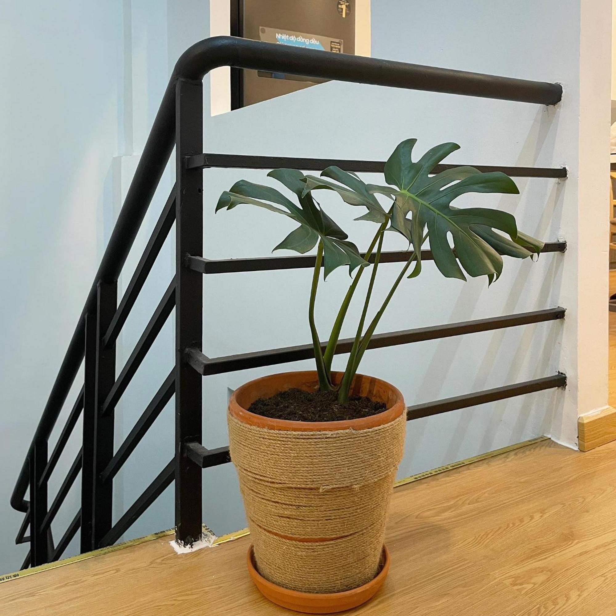 הו צ'י מין סיטי Alphabet Home Capsule מראה חיצוני תמונה